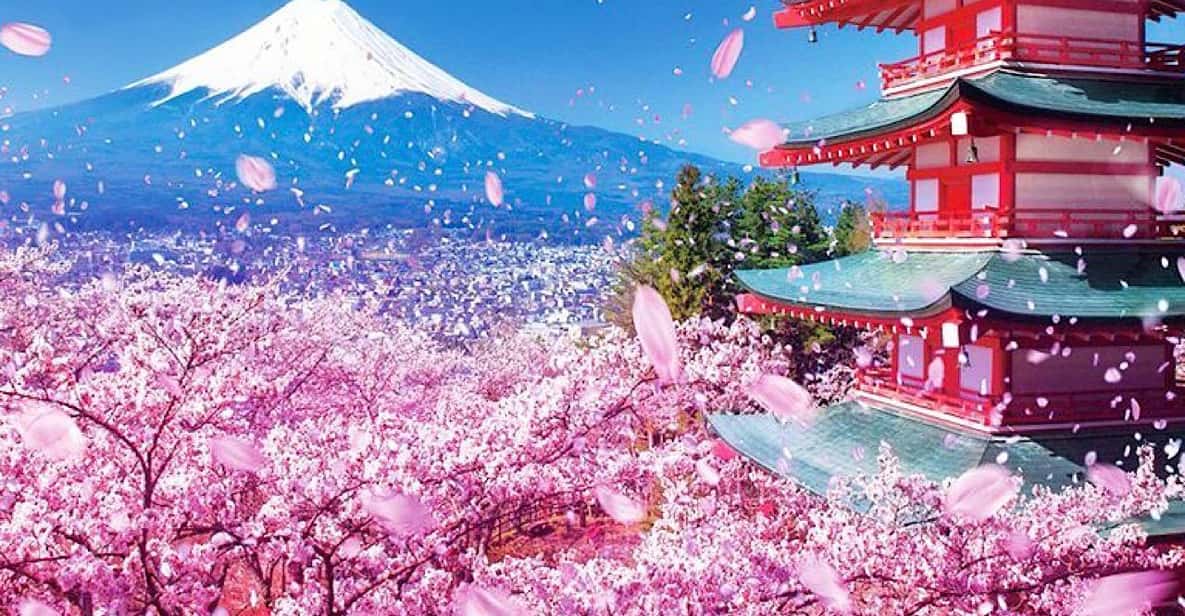 Tokyo: Private Mount Fuji and Hakone Day Trip with Guide - Hakone ropeway and Lake Ashi: changing scenery, changing mood