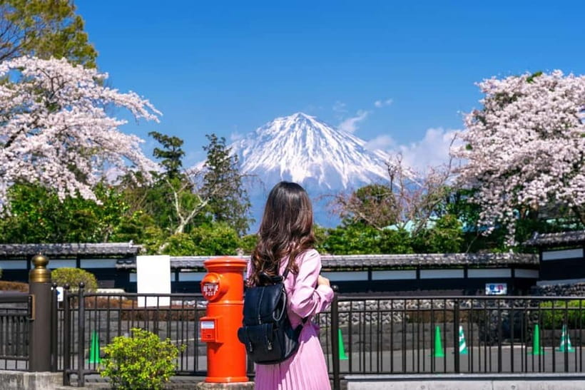 Tokyo: Private Mount Fuji Day Trip with Private Guide - Quick hits before you go
