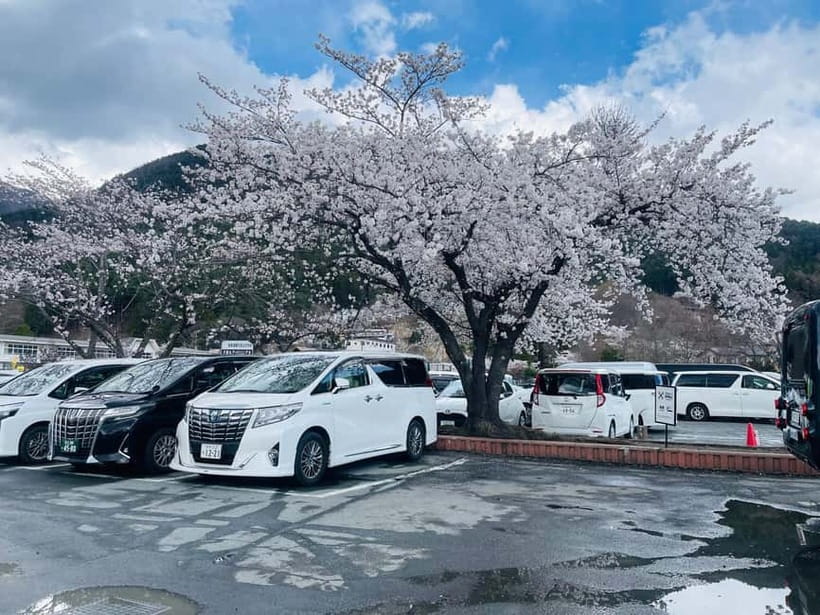 Tokyo: Private Mount Fuji Day Trip with Private Guide - How to think about “customizable itinerary” on a private tour