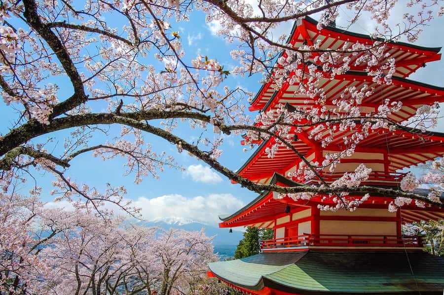 Tokyo: Private Mt.Fuji Day Trip with English-Speaking Driver - Key highlights worth planning around