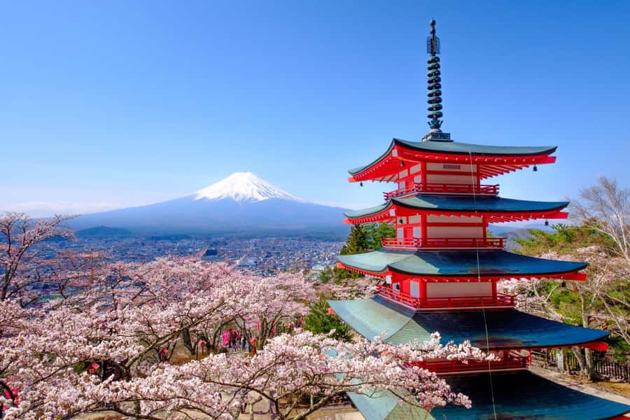 Tokyo: Private Mt.Fuji Day Trip with English-Speaking Driver - Why a private Mt. Fuji day trip works better than a group bus