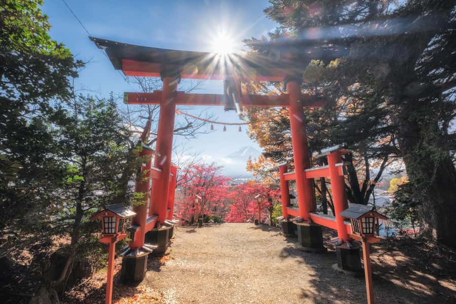 Tokyo: Private Mt.Fuji Day Trip with English-Speaking Driver - Chureito Pagoda: the Fuji-framed photo stop