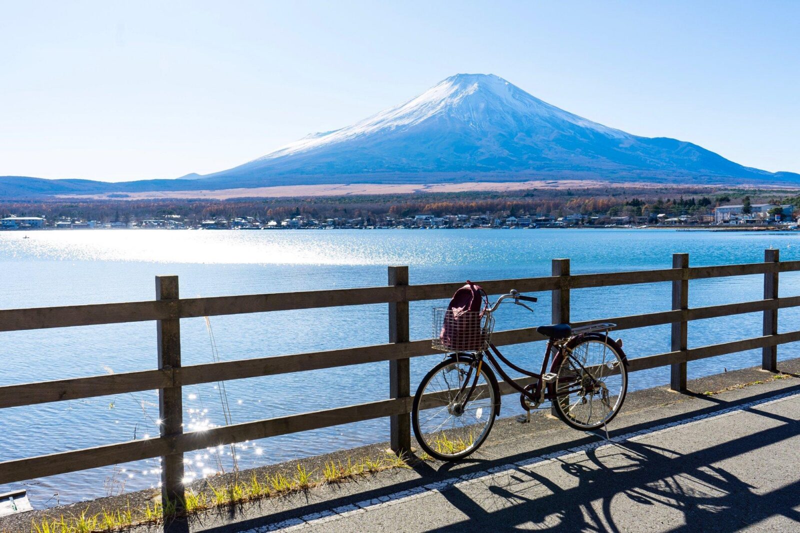 Tokyo: Private Mt.Fuji Day Trip with English-Speaking Driver - Driver quality and Wi‑Fi support that make the day feel easy