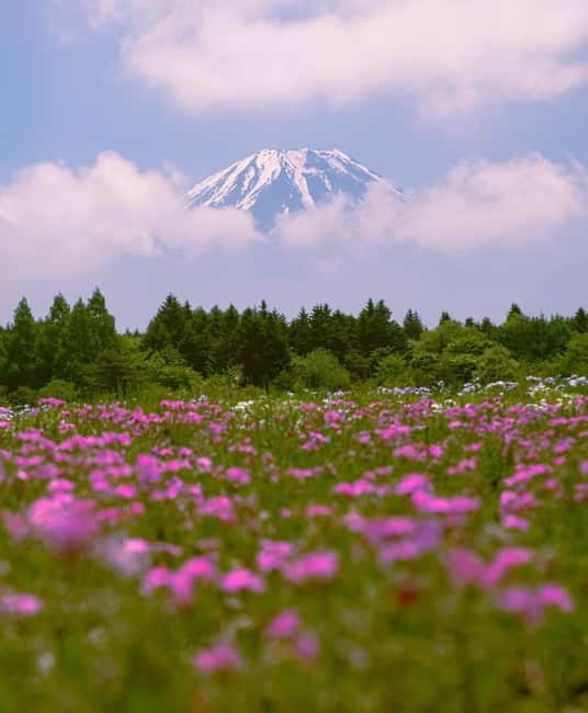 Tokyo: Private Mt. Fuji Luxury Day Tour – Fully Customizable - Key things that make this tour worth your time