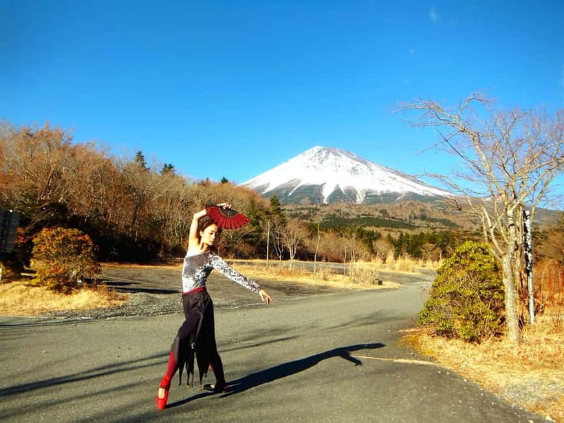 Tokyo: Private Mt. Fuji Luxury Day Tour – Fully Customizable - Private luxury Fuji days: the real advantage over group tours