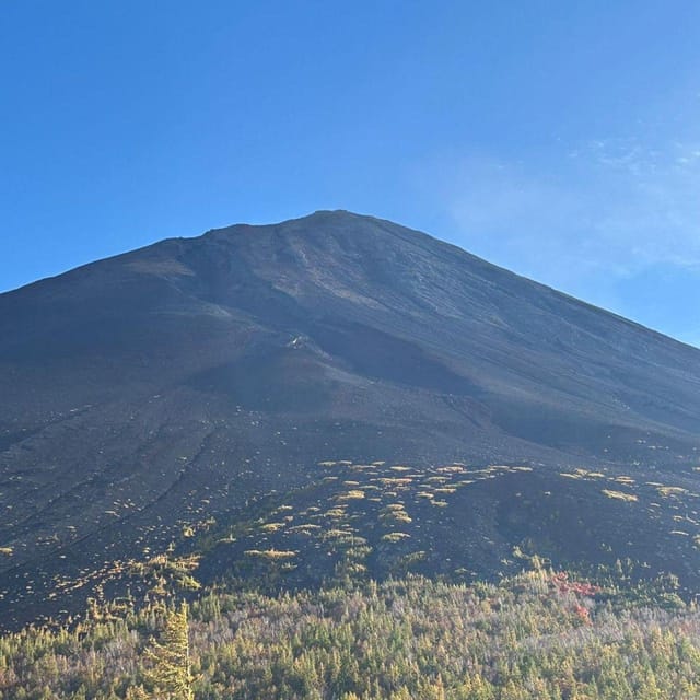 Tokyo: Private Mt. Fuji Luxury Day Tour – Fully Customizable - Mt. Fuji 5th Station: what you gain and what can go wrong
