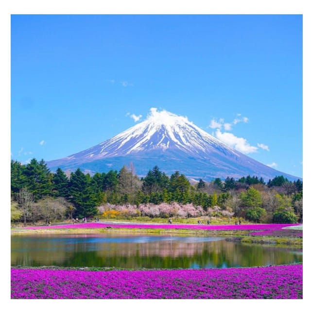 Tokyo: Private Mt. Fuji Luxury Day Tour – Fully Customizable - Lake Kawaguchi and Oishi Park: calmer views that don’t feel rushed