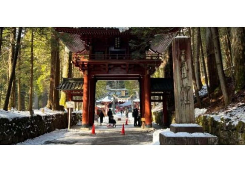 Tokyo: Private Nikko Sightseeing Tour In Luxury Land Cruiser - Door-to-door comfort in Tokyo’s 23 wards (and where it stops)