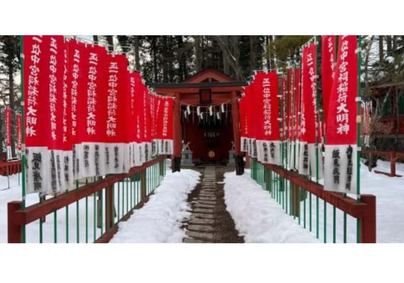 Tokyo: Private Nikko Sightseeing Tour In Luxury Land Cruiser - Kegon Falls: how to get the most out of the waterfall stop