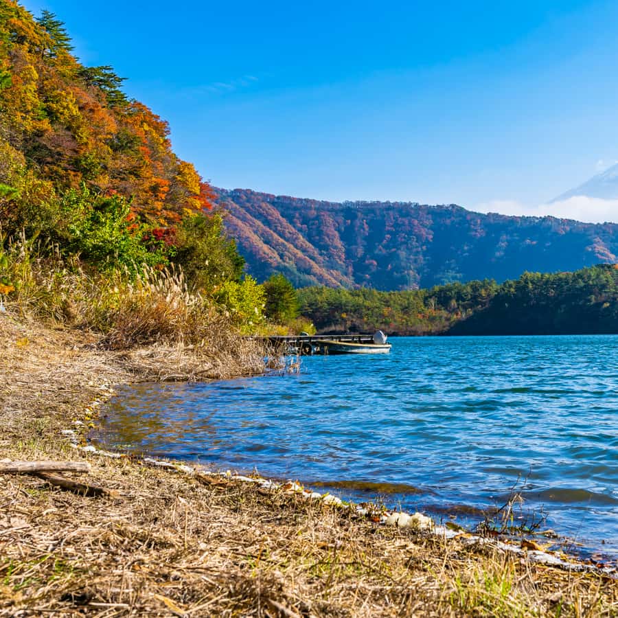 Tokyo: Private Nikko World Heritage Instagramable Day Tour - The guides matter: what to expect from the driver experience