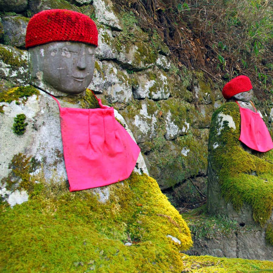 Tokyo: Private Nikko World Heritage Instagramable Day Tour - Who should book this Nikko private day tour (and who shouldn’t)