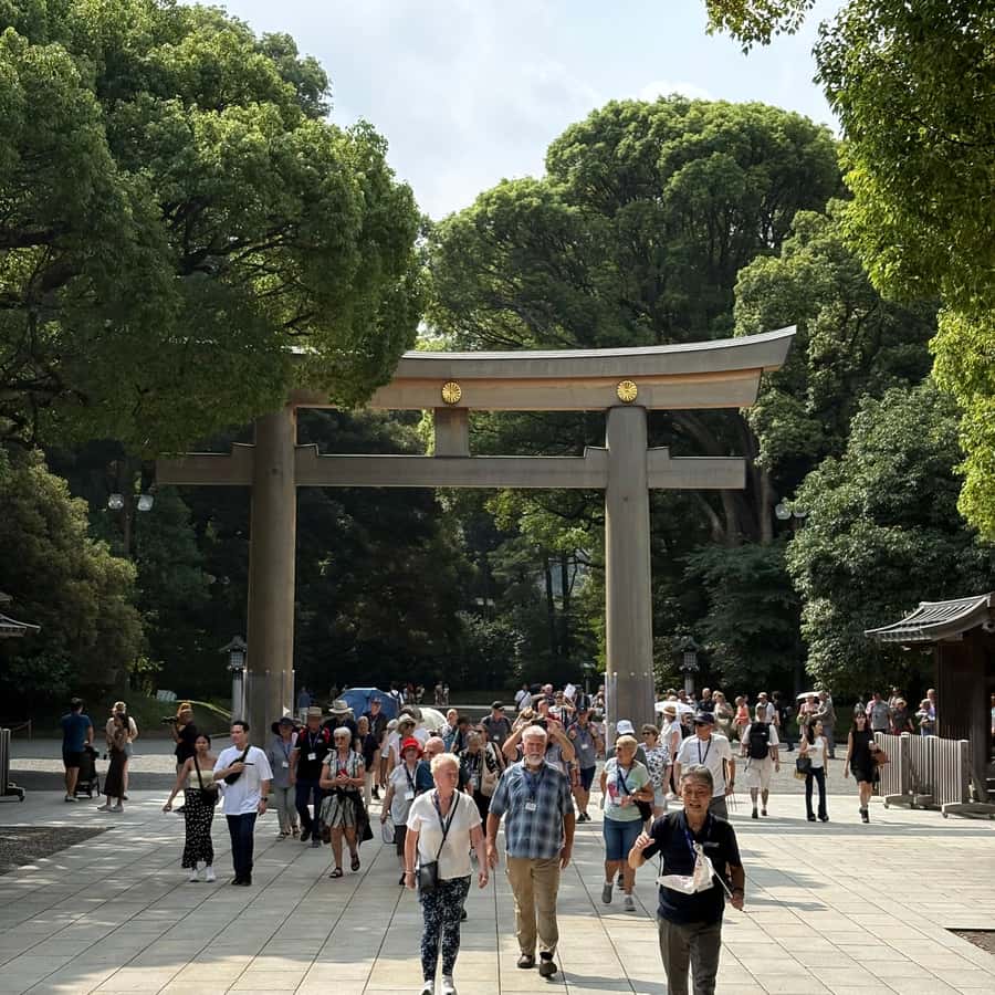 Tokyo: Private Shinto Shrines Tour by Car with Local Guide - Key highlights at a glance