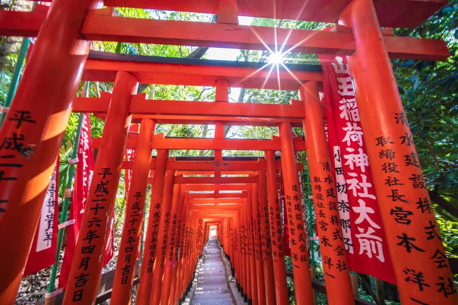 Tokyo: Private Shinto Shrines Tour by Car with Local Guide - Hie Shrine and the red torii tunnel for love and relationships