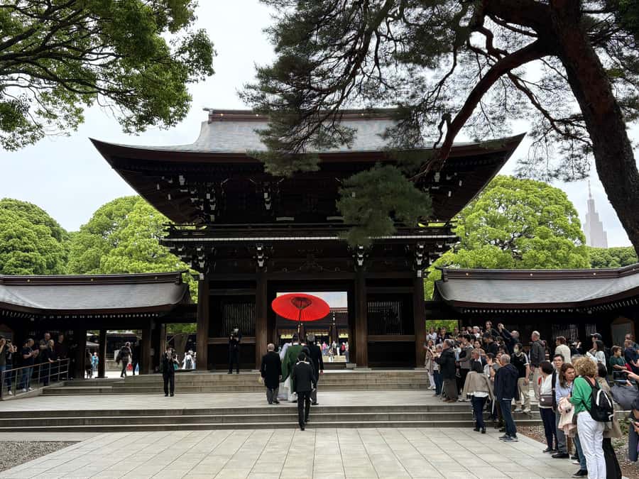 Tokyo: Private Shinto Shrines Tour by Car with Local Guide - Optional Koami Jinja: protection and good luck when time allows