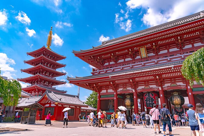 Tokyo Private SightSeeing Day Tour With Guide - Price and what extra costs to budget for