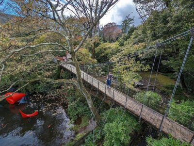 Tokyo private tour by car with pick up - Price and group value: what $490 really buys