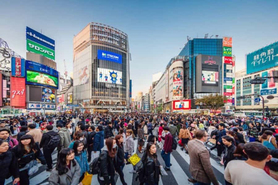 Tokyo Private Tour English Pro Guide By Luxury Vehicle - Tsukiji Fish Market: a food-forward stop that can anchor the day