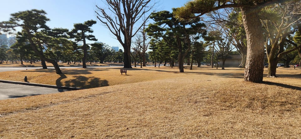 Tokyo Private Tour With English Speaking Driver - Key things to know before you go