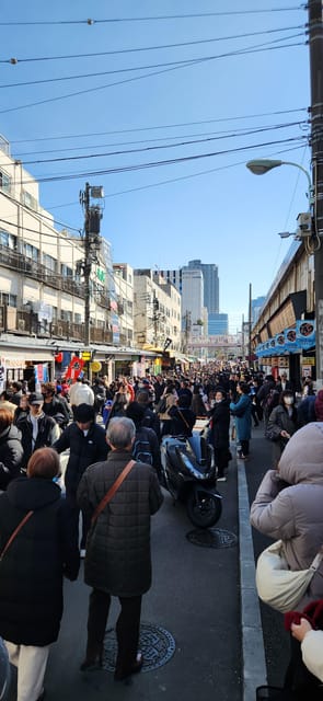 Tokyo Private Tour With English Speaking Driver - How the private car format makes Tokyo easier
