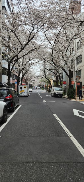 Tokyo Private Tour With English Speaking Driver - Sensō-ji Temple: what your 1 hour should focus on