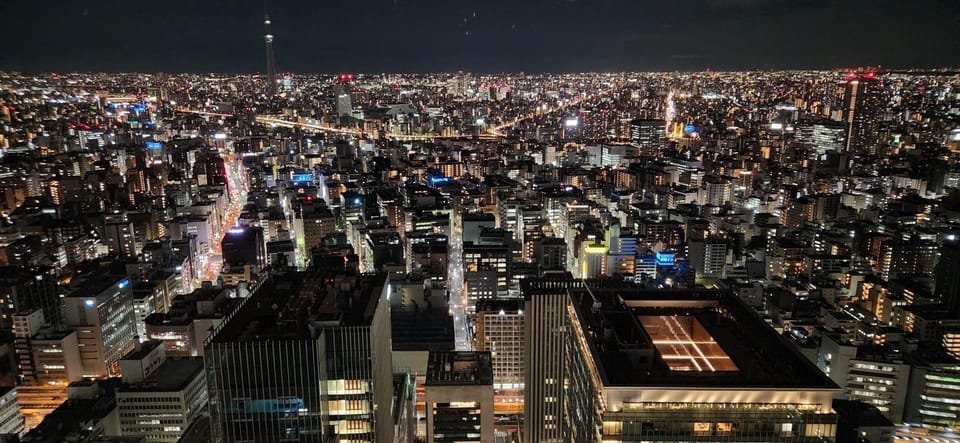 Tokyo Private Tour With English Speaking Driver - Imperial Palace: a quick, efficient orientation stop