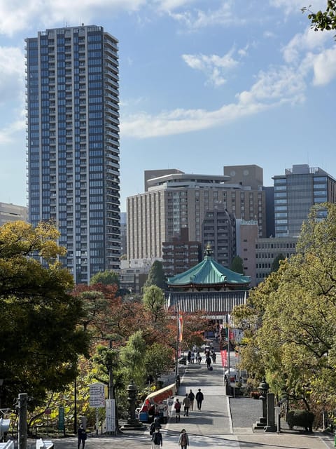 TOKYO Private visit guide Speaking French - A 5-hour Tokyo plan you can actually steer