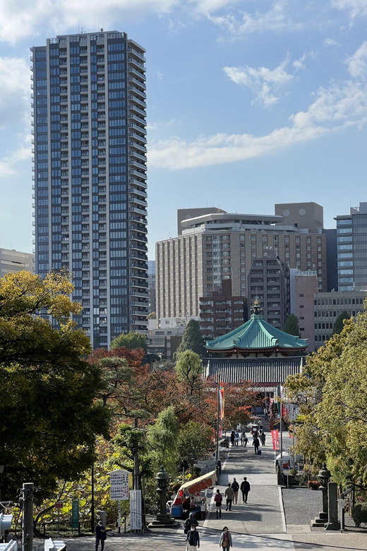 TOKYO Private visit guide Speaking French - The itinerary flow: photo stop, visit, guided walk, shopping time