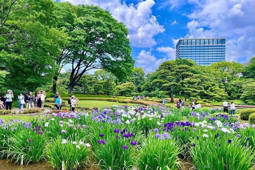 Tokyo: Pvt. Tour - Edo Castle & Imperial Palace East Gardens - How long you should budget and what the pace feels like