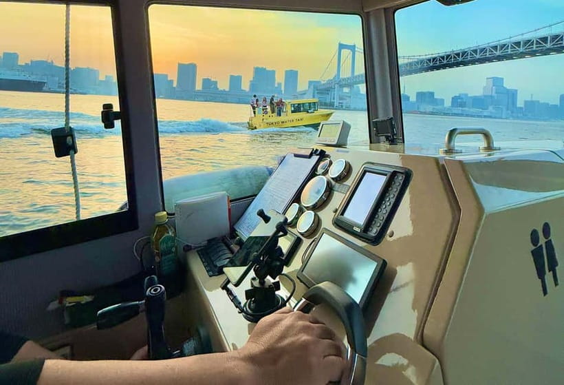 Tokyo: Scenic Bay Cruise with Local Guide on Private Boat - Seabirds feeding: the fun surprise that adds energy