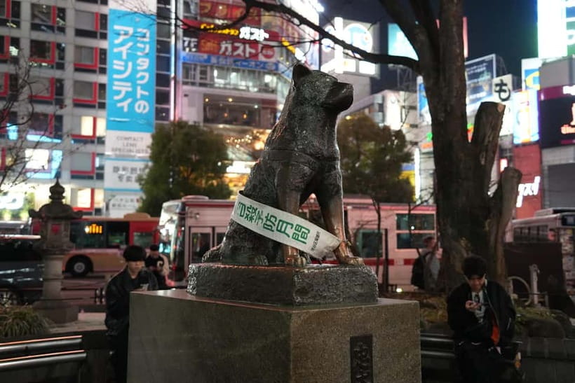 Tokyo: Shibuya Food Tour, Neon Lights & Local Flavors - Who should book this Shibuya night tour