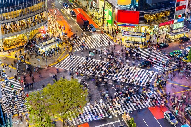 Tokyo: Shibuya Local Bar & Izakaya Crawl Tour - Key highlights you’ll feel right away