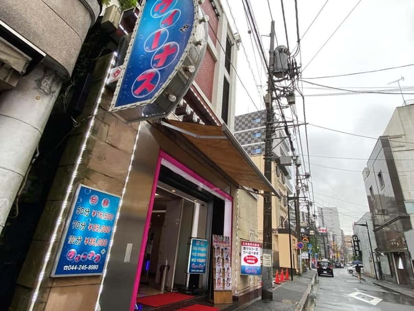Tokyo: Shinjuku, Kawasaki, Slum & Red Light Tour with Pickup - Pickup by Lexus: Private-Group Comfort in Tokyo Traffic
