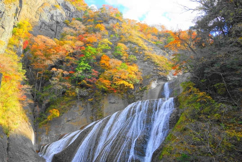 Tokyo: Spring Hitachi Seaside & Ashikaga Flower Park Tour - Quick reality checklist before you book