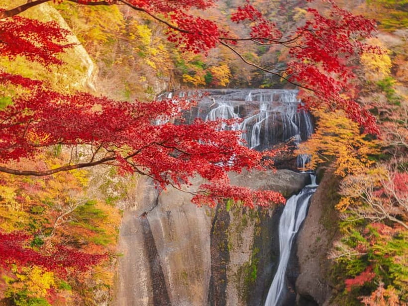 Tokyo: Spring Hitachi Seaside & Ashikaga Flower Park Tour - Tokyo pickup to return: a long but organized bus day
