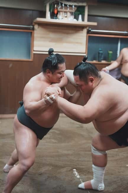Tokyo: Sumo Keiko Training Tour with Audio Guide & Photo - Watching the training: how to get the most from your quiet 1.5 hours