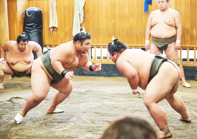 Tokyo: Sumo Morning Practice Viewing Tour at a Real Stable - Why Tokyo’s Sumo Morning Practice Hits Hard
