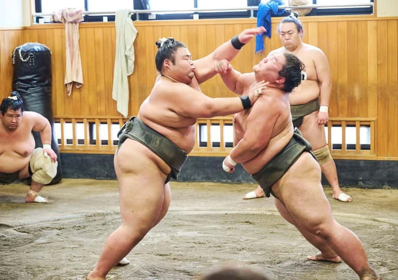 Tokyo: Sumo Morning Practice Viewing Tour at a Real Stable - Watching Training Up Close: The Side-of-the-Ring View