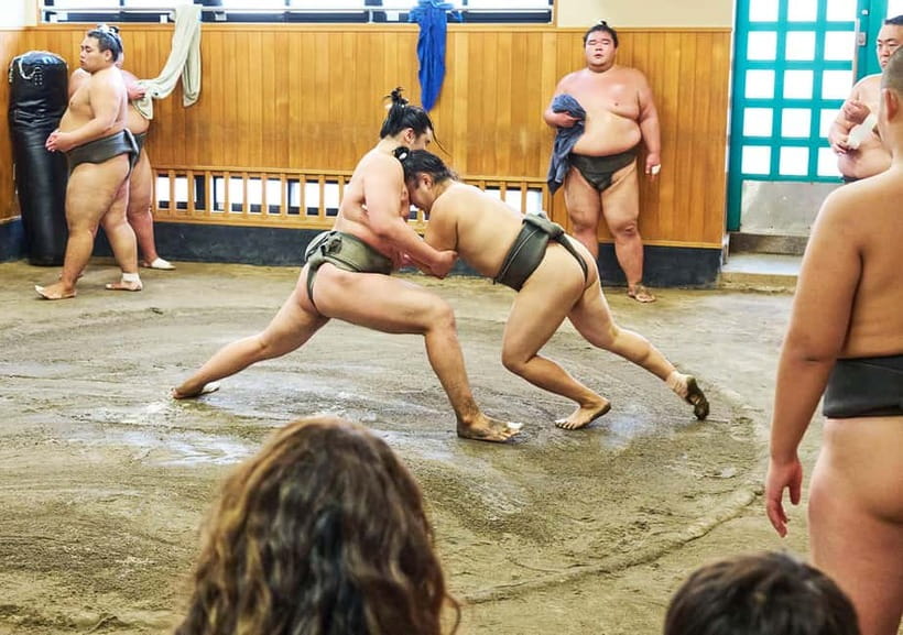 Tokyo: Sumo Morning Practice Viewing Tour at a Real Stable - Staying Until the End (and Why It Matters)