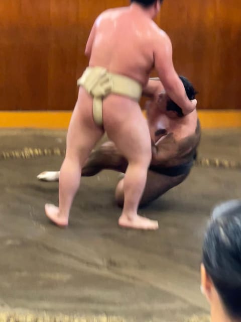 Tokyo: Sumo Morning Practice with Photo Banzuke and Guide - Key Things I Think You’ll Notice