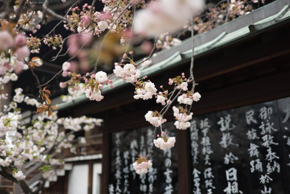 Tokyo to Kawagoe: Private Historical Day Trip - Food you should plan for: from boiled eel to sweet potato oddities