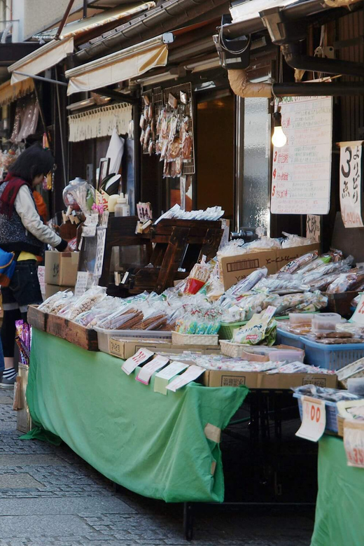 Tokyo to Kawagoe: Private Historical Day Trip - Weather, walking, and how to get the most out of six hours