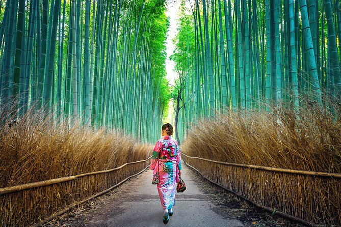 Tokyo to Kyoto 1-Full Day Private Guided Tour - How the Day Really Runs: Morning Trains, Tight Timing, and a Guide Waiting