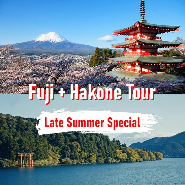 Tokyo to Mount Fuji and Hakone: Private Full-Day Tour - Key Things to Know Before You Go