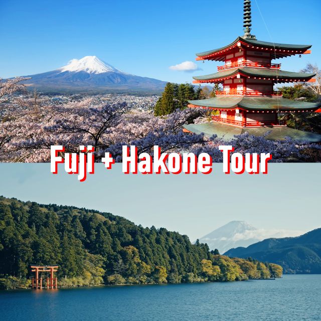 Tokyo to Mount Fuji and Hakone: Private Full-Day Tour - Hakone Hot Springs Area (Morning): Lakes, Hot Spring Street, and Easy Time