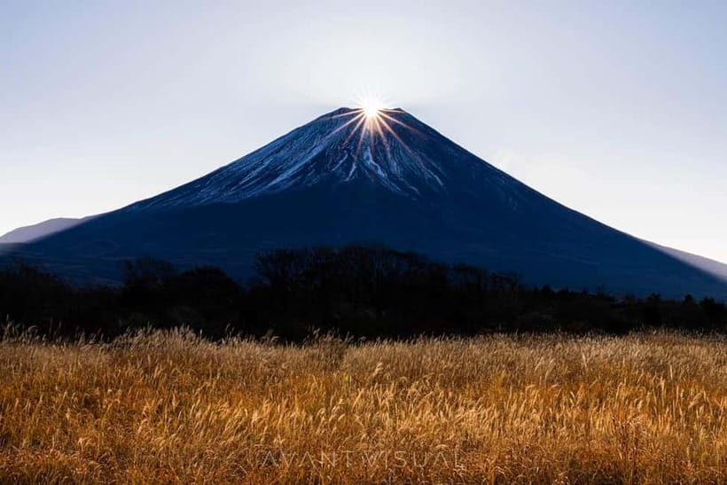 Tokyo To Mount FUJI Day Trip With English guide - Key highlights you’ll actually care about
