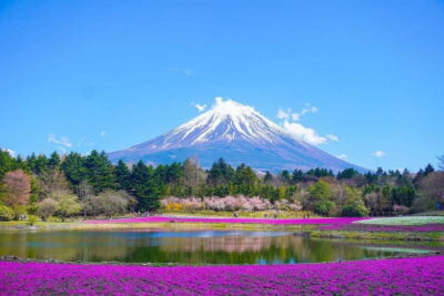 Tokyo To Mount FUJI Day Trip With English guide - Pickup, timing, and how to avoid the start-of-day scramble