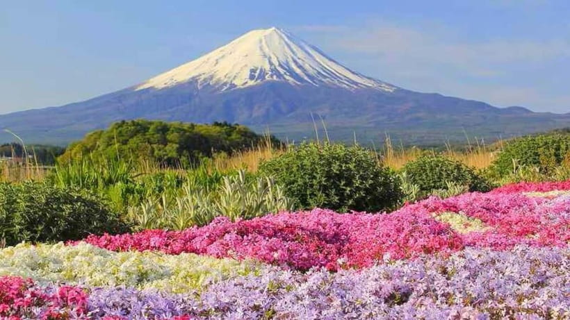 Tokyo To Mount FUJI Day Trip With English guide - Fuji Subaru Line 5th Station: high altitude around 2,300 metres