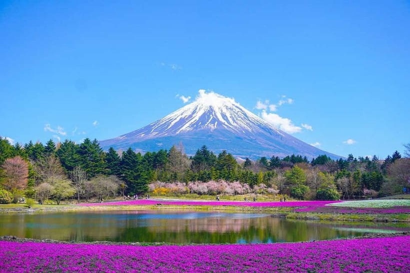 Tokyo To Mount FUJI Day Trip With English guide - Pickup, timing, and how to avoid the start-of-day scramble