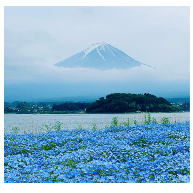 “Tokyo to Mt. Fuji & Hakone: Private Customizable Day Trip” - How the 10 hours usually feel (and how to make it work for you)