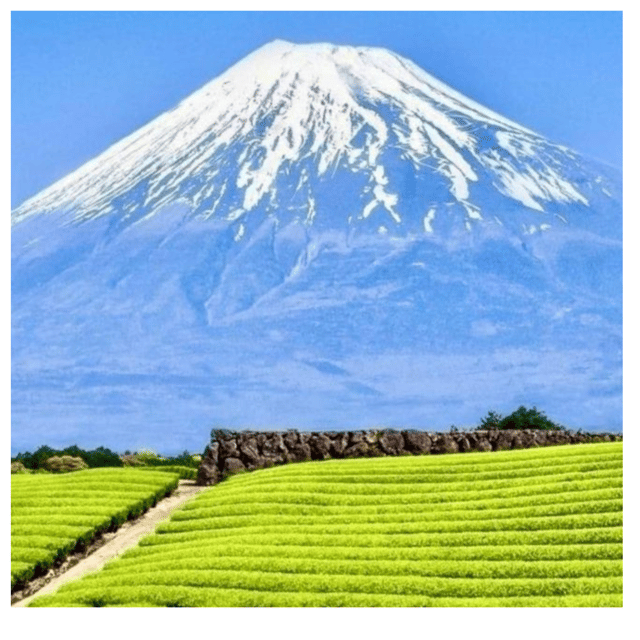 “Tokyo to Mt. Fuji & Hakone: Private Customizable Day Trip” - Why this private Fuji and Hakone day feels different